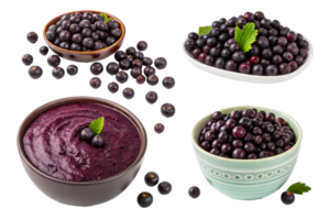 Fresh blueberries displayed in various forms and arrangements for culinary use png