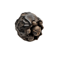 Black Peppercorn Macro Closeup Detail Spice hot isolated on transparent background png