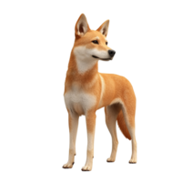 A Digital Rendering of a Red Dingo Standing Isolated on Transparent Background. png