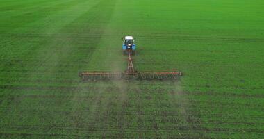 Soil loosening in a field with agricultural crops, aerial shot. The tractor processes the soil with green crops of young wheat, drone view. Farming concept video