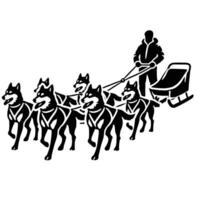 A man pulling a sled with dogs on it vector