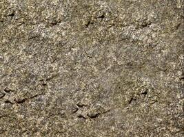 A close up of a rock with some small holes video