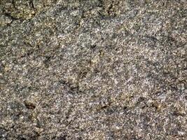 A close up of a rock with some dirt on it video