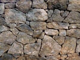 un Roca pared con muchos diferente tipos de rocas video