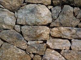 un Roca pared con muchos diferente tipos de rocas video