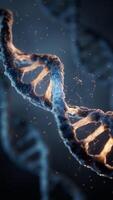 Biological DNA with bioengineering concept, 3d rendering. video