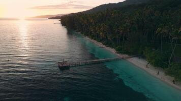Above view of tropical scenic coastline with quiet ocean and coconut palm trees on beach video