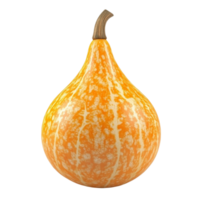 Butternut Squash Transparent Background png