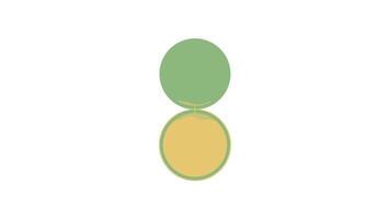 Abstract Loading Animation Oscillating Circles with Shifting Internal Patterns. Minimalist Motion Graphics Concept video