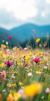 Vibrant Wildflower Meadow in Summer photo