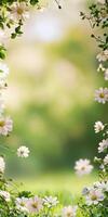 Delicate Spring Flowers in a Lush Garden photo