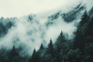 A tranquil scene of a misty forest with dense green trees and fog enveloping a mountainous landscape, evoking a sense of calm and mystery. photo