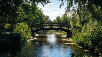 A picturesque wooden bridge spans a calm river, enveloped by vibrant greenery and a clear sky, creating a serene natural scene. photo