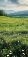 Serene Green Meadow Landscape photo