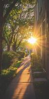 A serene urban pathway illuminated by the setting sun, surrounded by lush greenery and brick buildings. photo