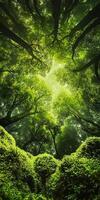 Sunlight filters through a dense canopy of vibrant green trees, creating a tranquil and serene forest atmosphere. photo