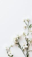 Delicate White Flowers Arrangement photo