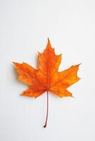 Close-up of a bright orange maple leaf on a white background, showcasing autumn's vibrant colors and natural beauty. photo