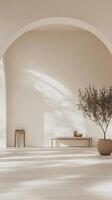 A white room with a large archway and a bench. A potted plant is in the corner photo