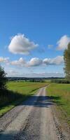 A picturesque rural scene featuring a gravel road winding through vibrant green fields beneath a bright blue sky dotted with fluffy clouds. photo