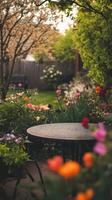 Serene Garden Landscape, Blooming Flowers and Tranquil Scenery photo