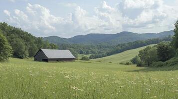 A large, old barn sits in a field of grass. The barn is surrounded by trees and the sky is cloudy. The scene is peaceful and serene, with the barn photo