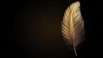 A striking image of a golden feather against a dark backdrop, highlighting elegance and luxury in minimalist design. photo