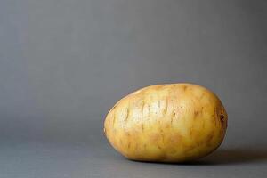 A large potato is sitting on a grey surface. The potato is unpeeled and has a slightly rough texture photo