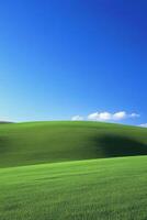 Serene Rolling Hills Under a Vibrant Blue Sky photo