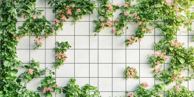 Pink Flowers on White Tile Wall, Botanical Beauty photo
