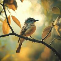 A beautiful bird sits on a branch surrounded by golden leaves, illuminated by warm sunlight, capturing the essence of autumn. photo