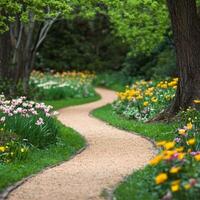 Serene Garden Path, A Tranquil Walk Through Blooming Tulips and Lush Greenery photo