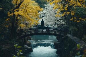 Serene autumn landscape Person on bridge over calm river photo