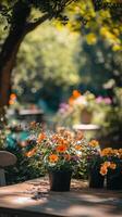 Orange Flowers in a Summer Garden photo