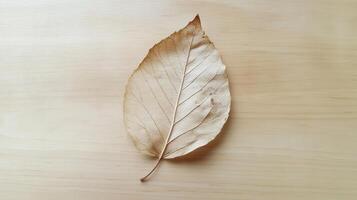 A leaf is on a wooden surface photo