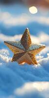 Gold star is sitting on top of a snowy field photo