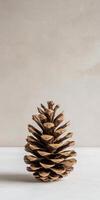 Close-up of a Pine Cone on a Minimalist Background with Neutral Tones and Soft Lighting photo