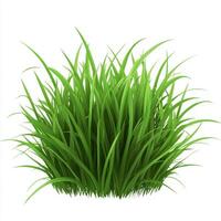 Fresh Lush Green Grass Image photo