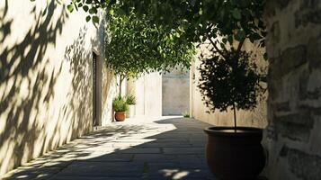 Serene Sunlit Alleyway with Lush Greenery and Rustic Stone Walls in a Tranquil Urban Setting photo