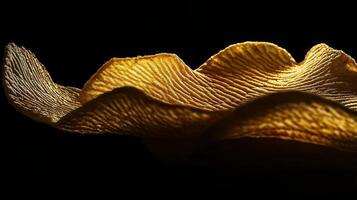 Delicate Golden Petals Captured in Artistic Light photo