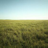 Vast Green Meadow Under a Clear Sky photo