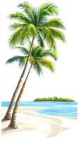 Tropical Island Beach Scene photo