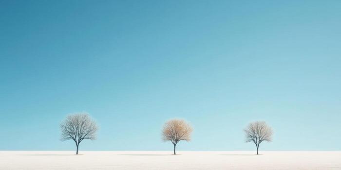 Winter Trees in a Pristine Landscape photo