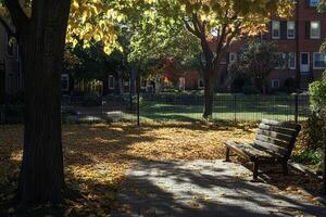 Serene Urban Park in Autumn with Sunlit Bench and Colorful Foliage photo