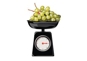 Green Grape Vine Kilo Scale Isolated On White Background Illustration. vector