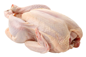 A perspective of a raw whole chicken, focusing on the detailed skin and plumpness, conveying freshness and premium quality for family meals png
