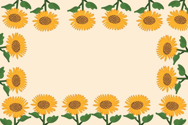 A frame of sunflowers