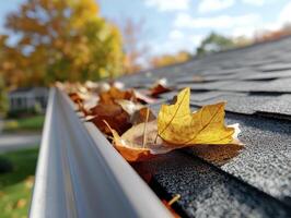 Autumn Leaves Clogged in Home Gutter photo