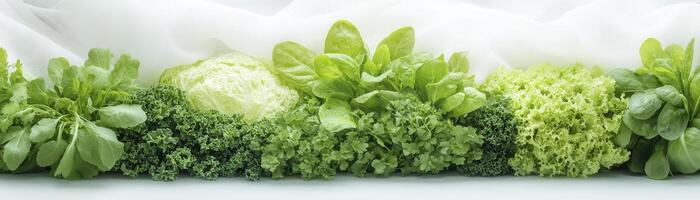 Fresh Green Leafy Vegetables on White Fabric photo