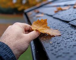 Hand Removing Wet Autumn Leaf From Dark Gutter photo